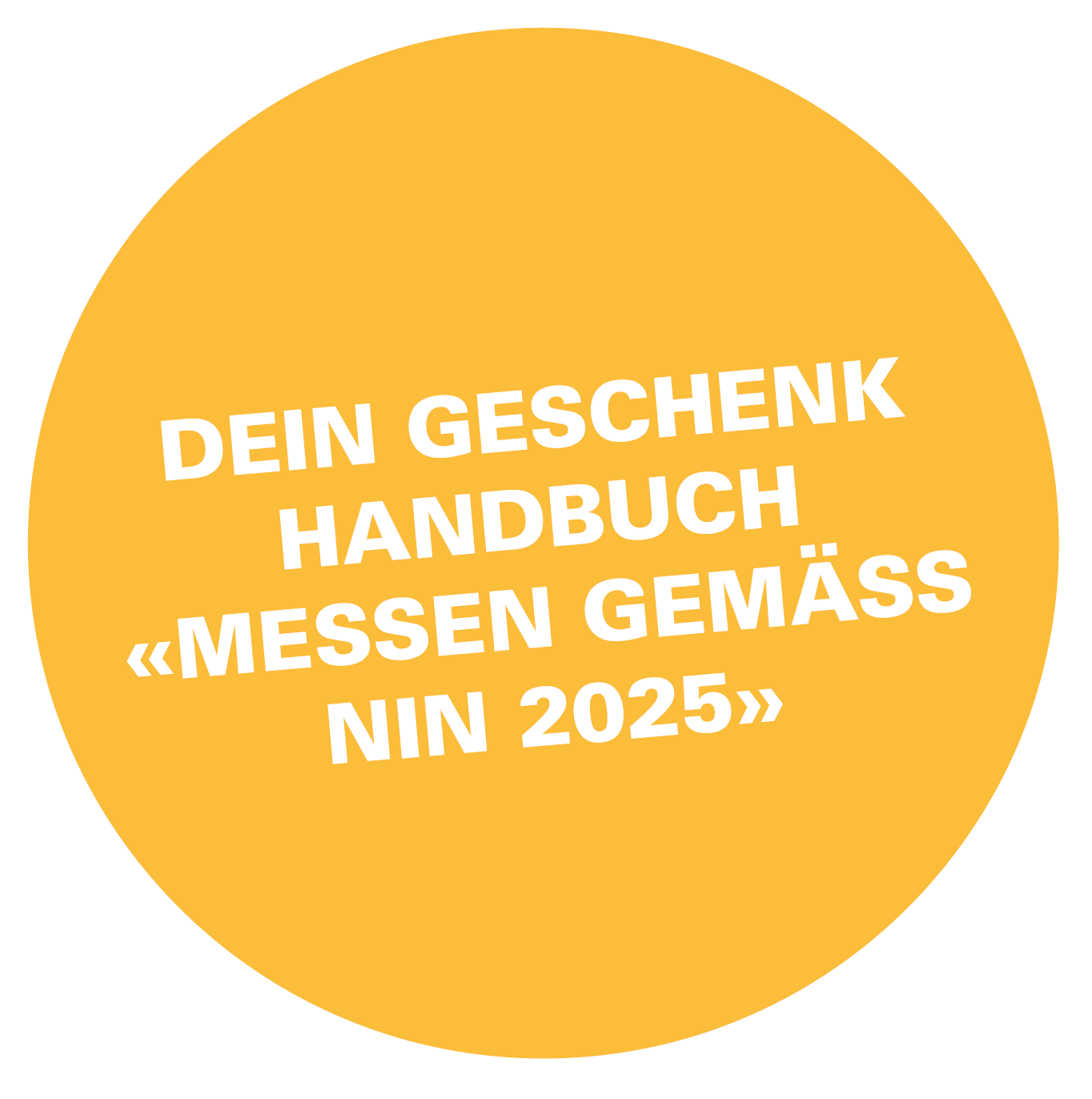 Handbuch: Messen gemäss NIN 2025